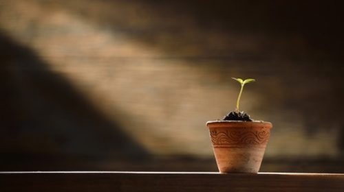 Why therapy is an investment in yourself